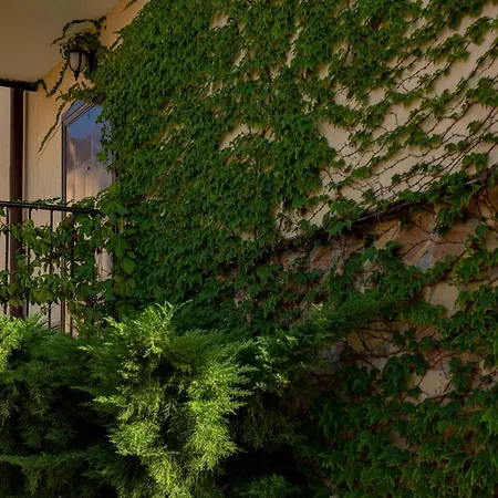 Menada Sunny Hill ヴィラ