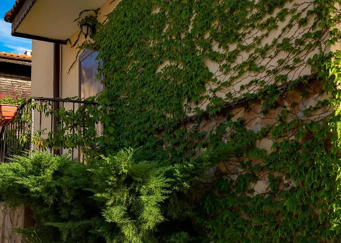 Menada Sunny Hill Villa